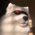 Avatar Hernán Barrios