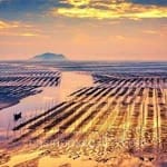 Avatar Manuel Saavedra