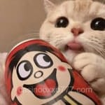 Avatar Melissa Montoya